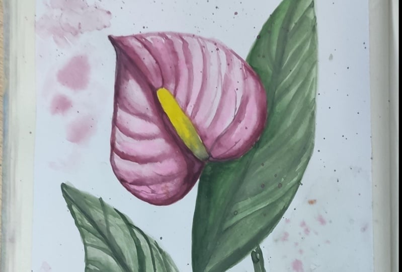 The proyect: Anthurium