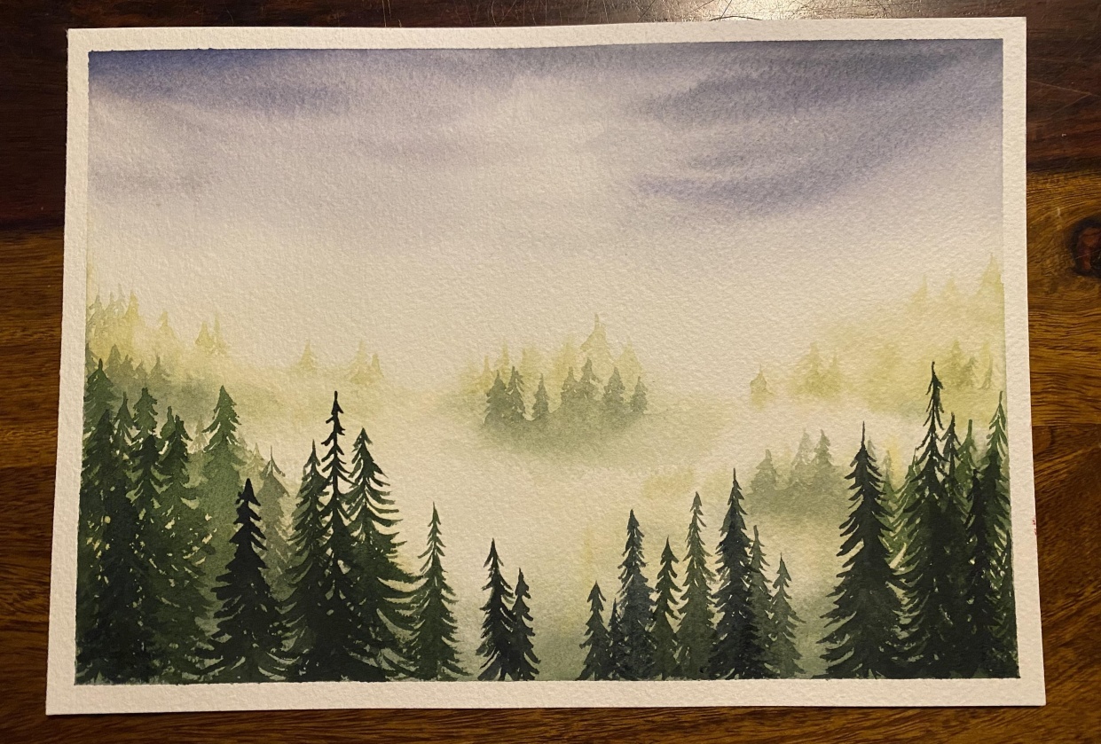 Misty forest - student project