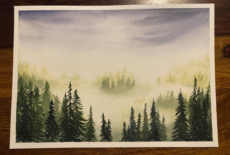 Misty forest