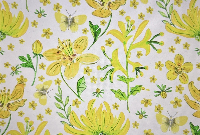 Yellow buttercup flower garden