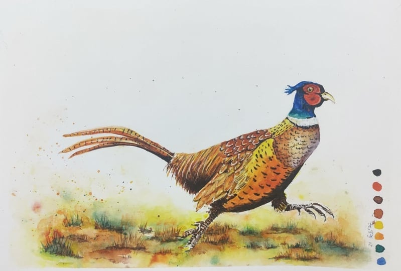 Pheasant: Masterclass with Carrie McKenzie.