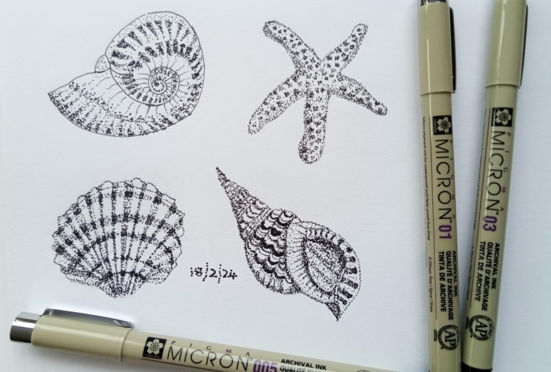 Seashells and Starfish