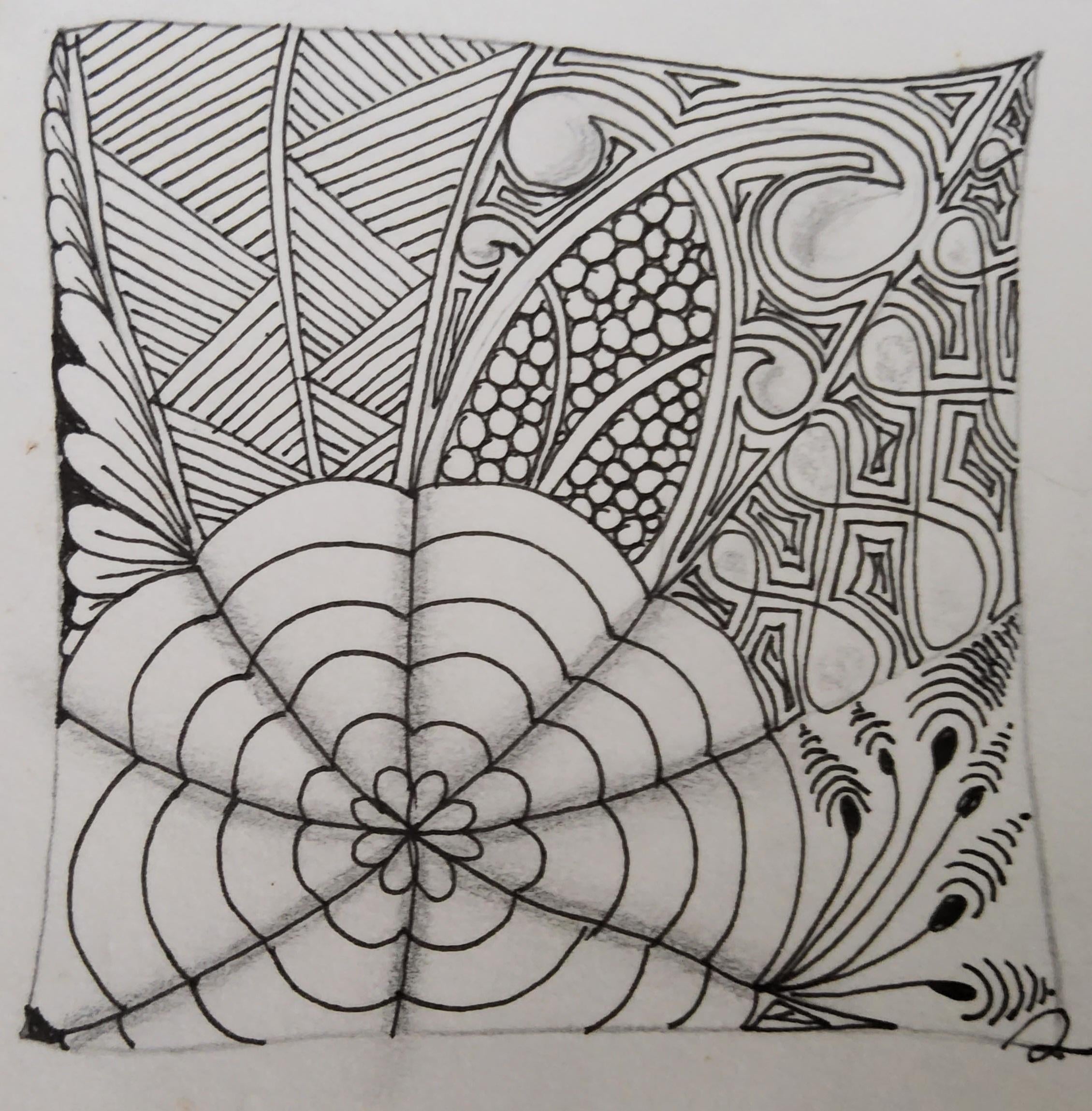 more-projects-from-class-img