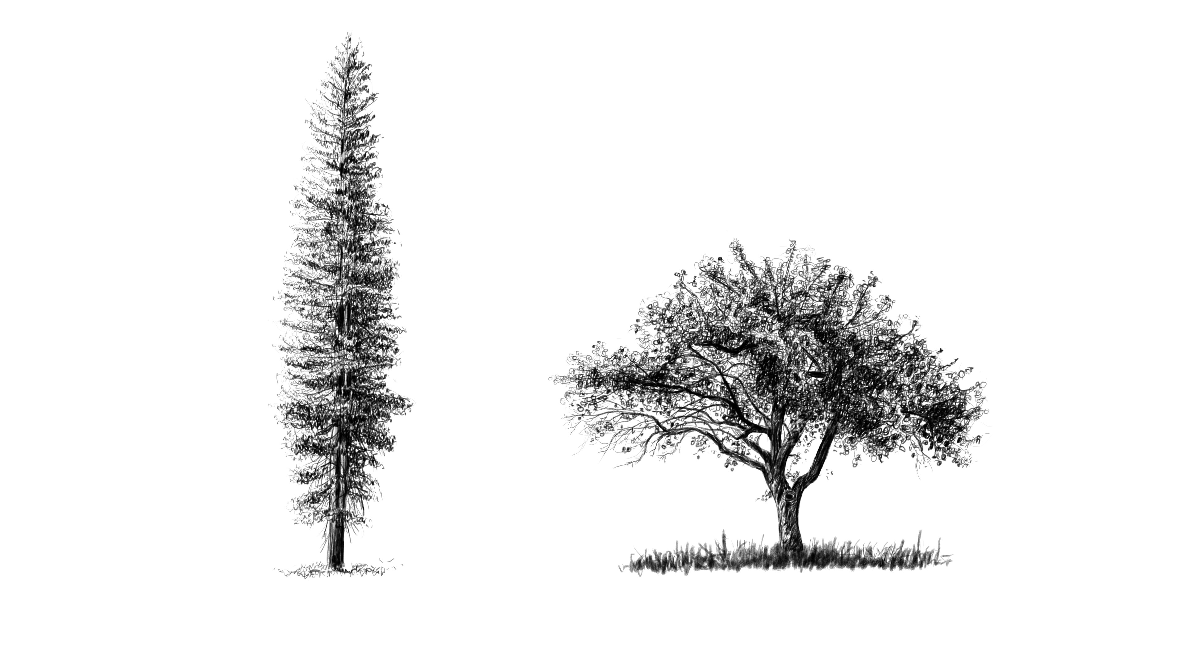 more-projects-from-class-img