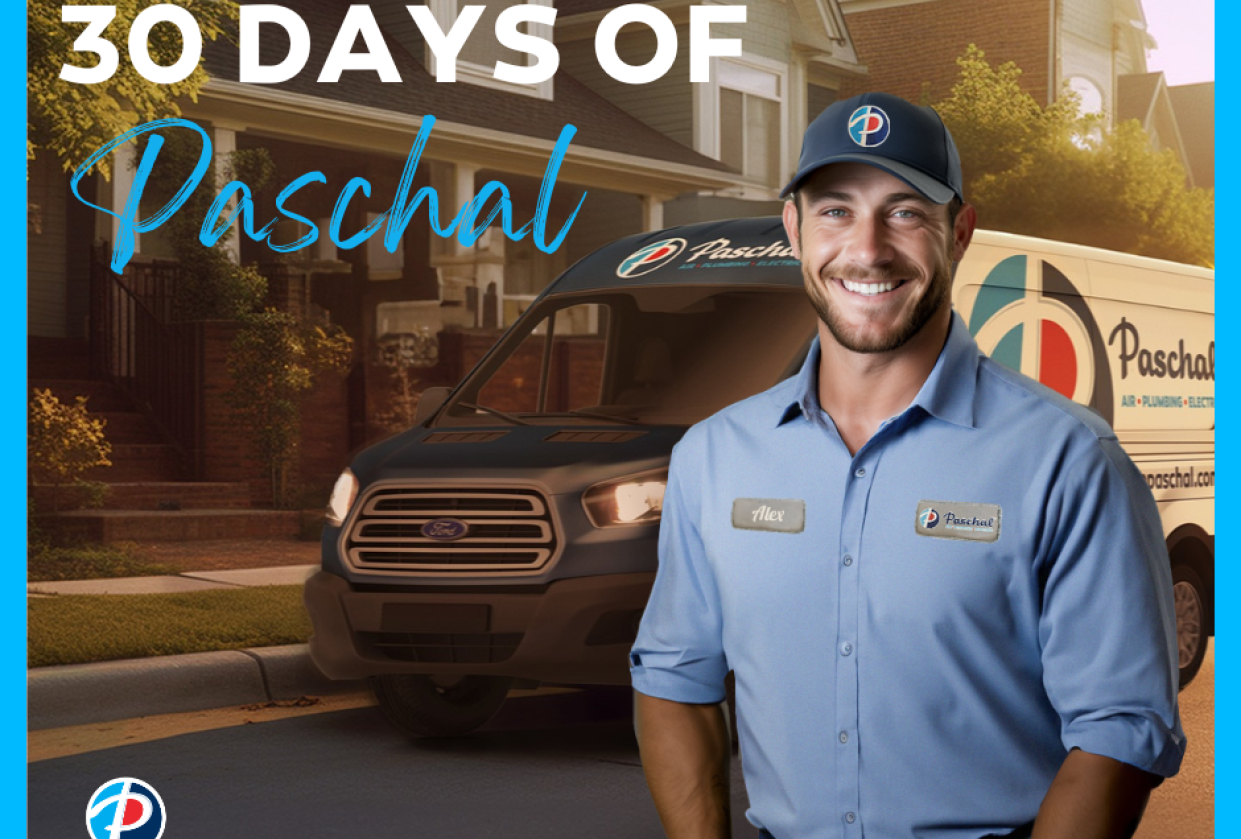 30 Days of Paschal - student project