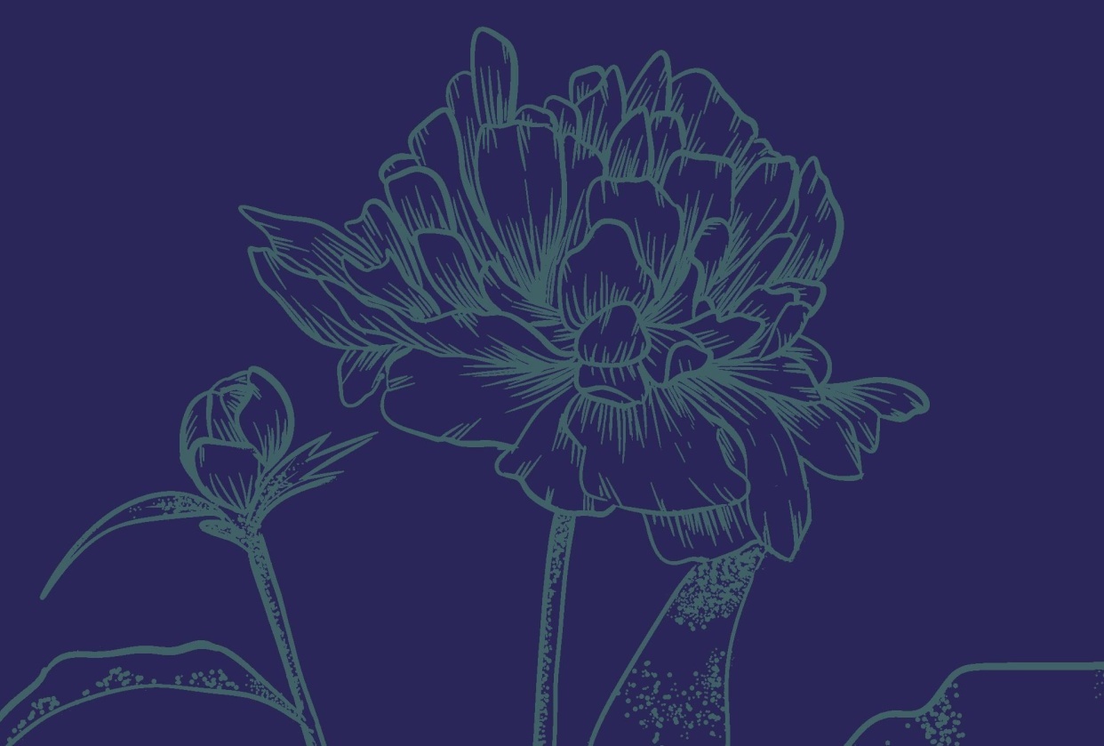 PS Digitized Line Art - student project