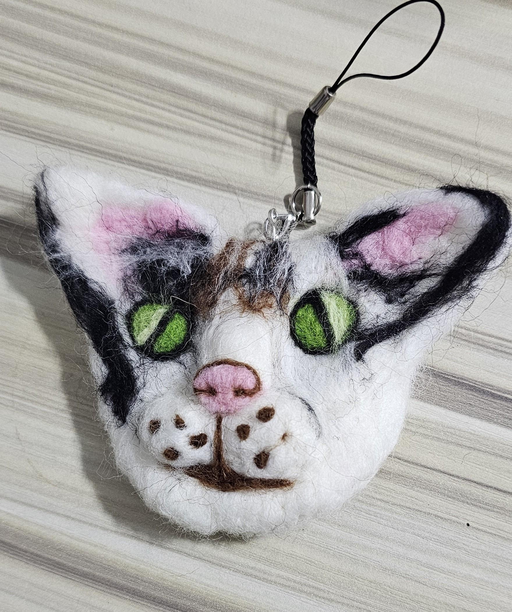 My first cat attempt - student project