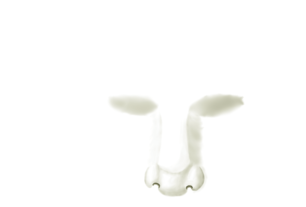 nose - student project