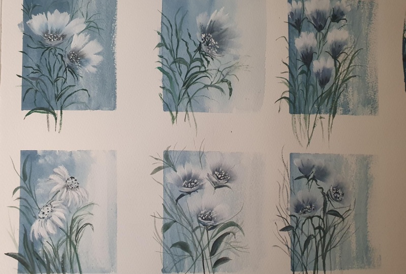 Wild flowers