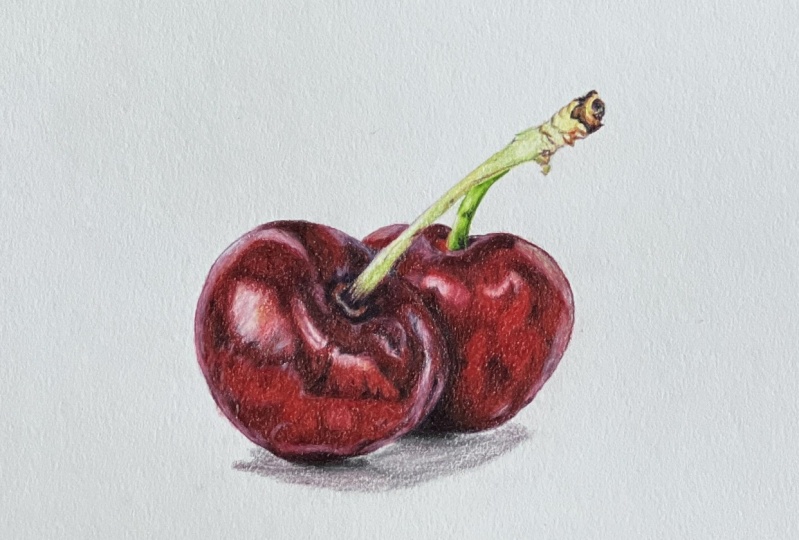 Color Pencil Cherries