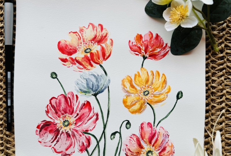 Icelandic Poppies
