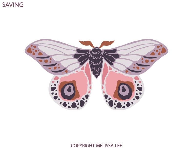 Basics in Adobe Illustrator: A Deep Dive into Exporting - student project
