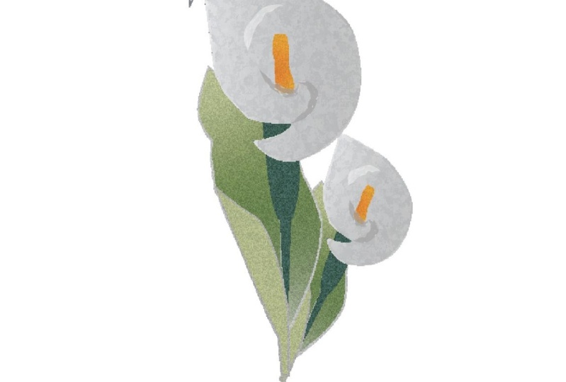Vectorisation