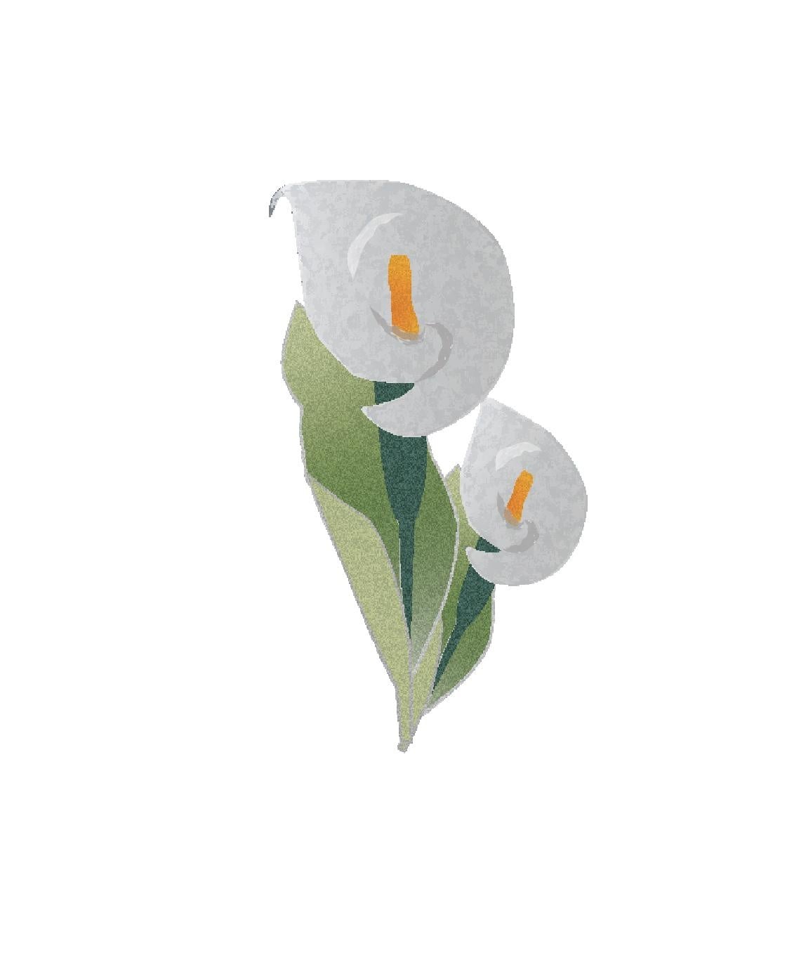 Vectorisation - student project