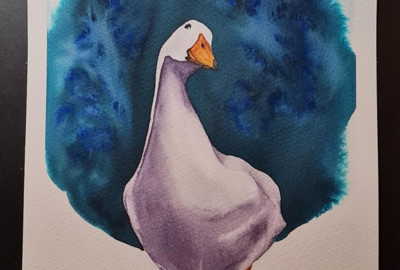 How to Make White Objects Pop - Duck Edition