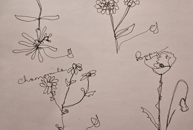 Flower continuous line doodle
