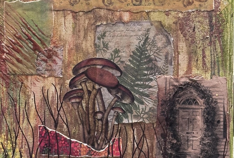 Wonderland