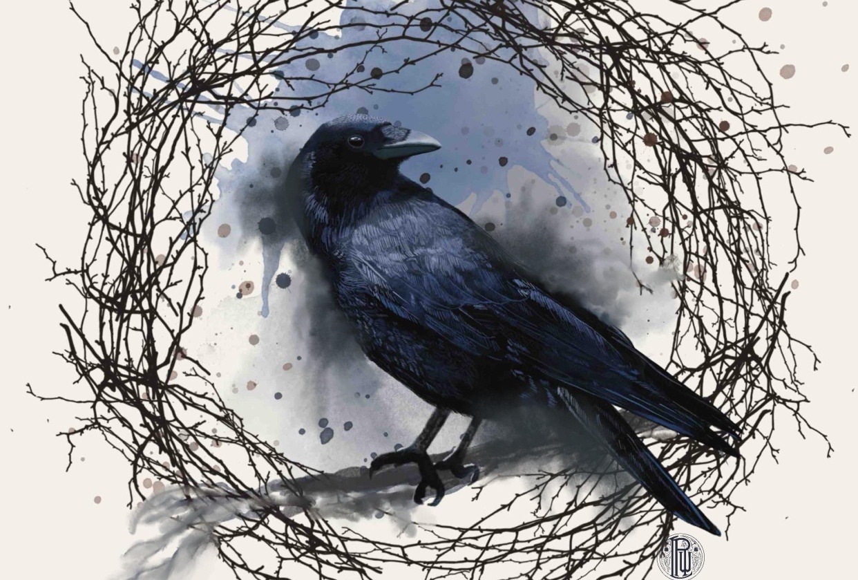 Raven - student project