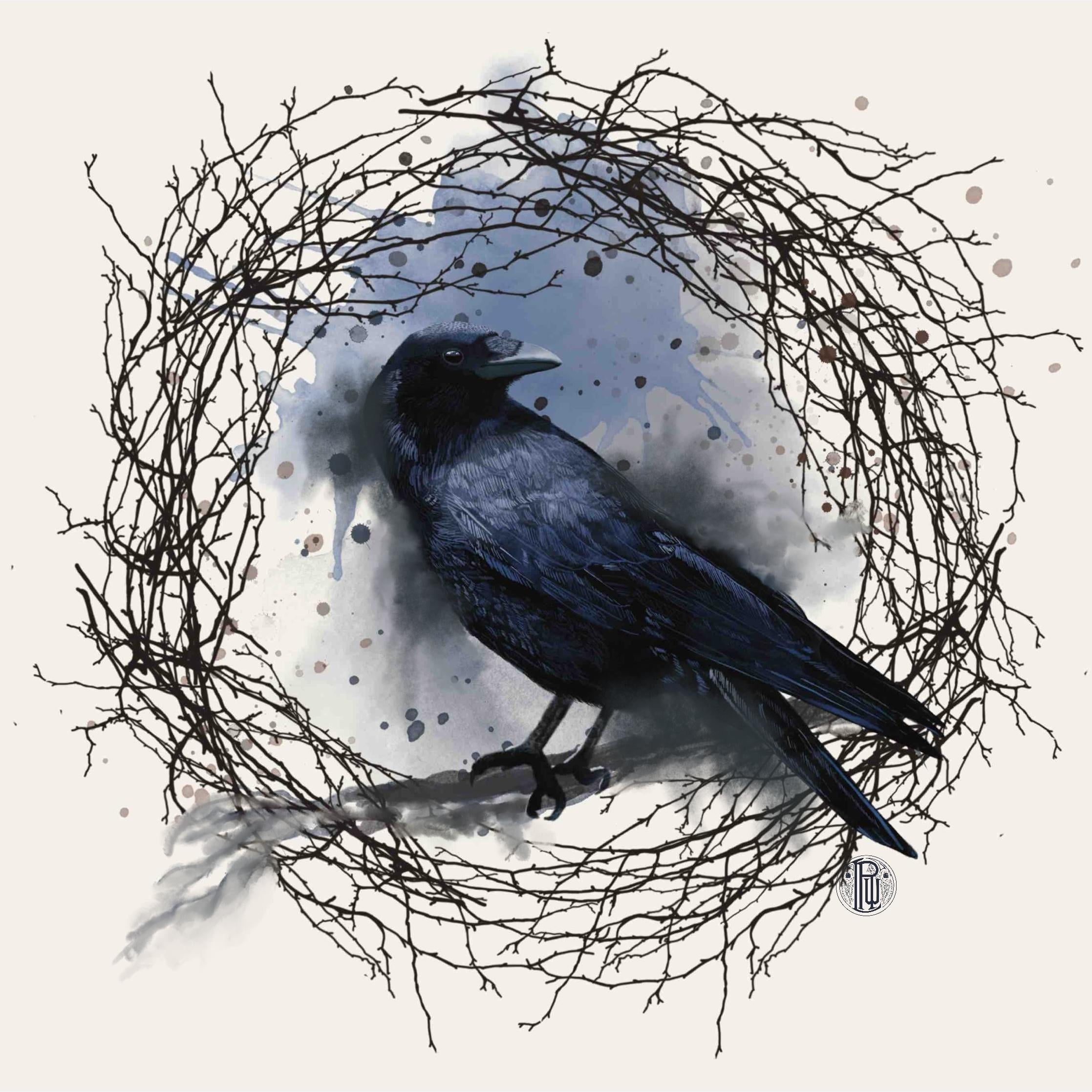 Raven - student project