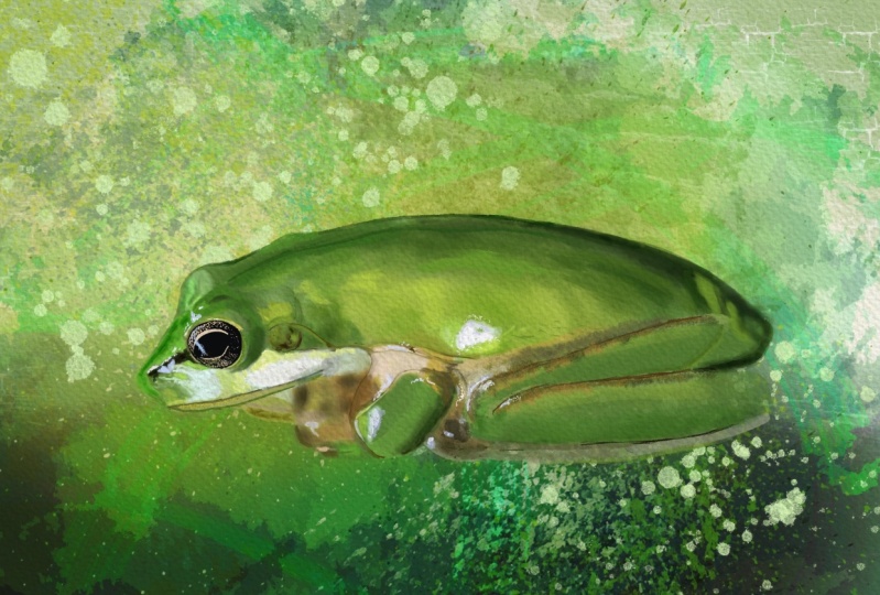 Environmental Canary