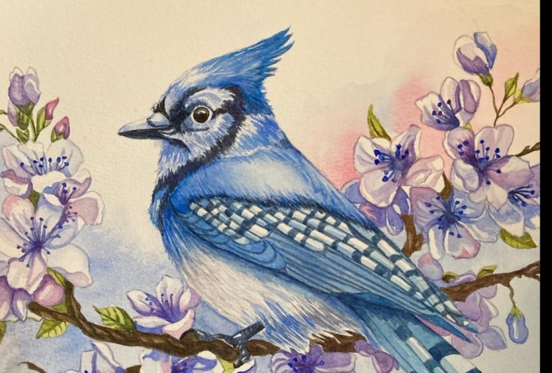Chris' Bluejay with Flowers