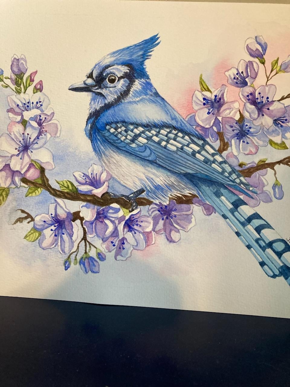 Chris' Bluejay with Flowers - student project