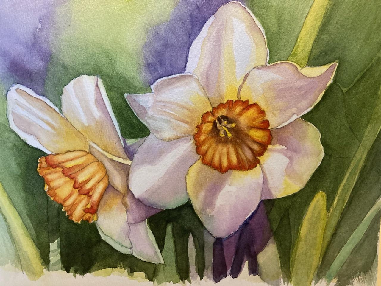 Chris' Daffodils - student project