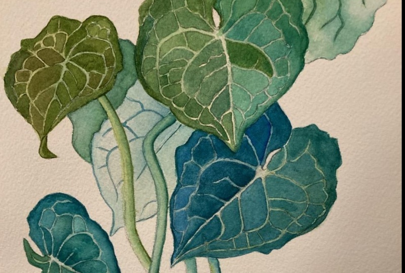 Leaves Tutorial - Anna B