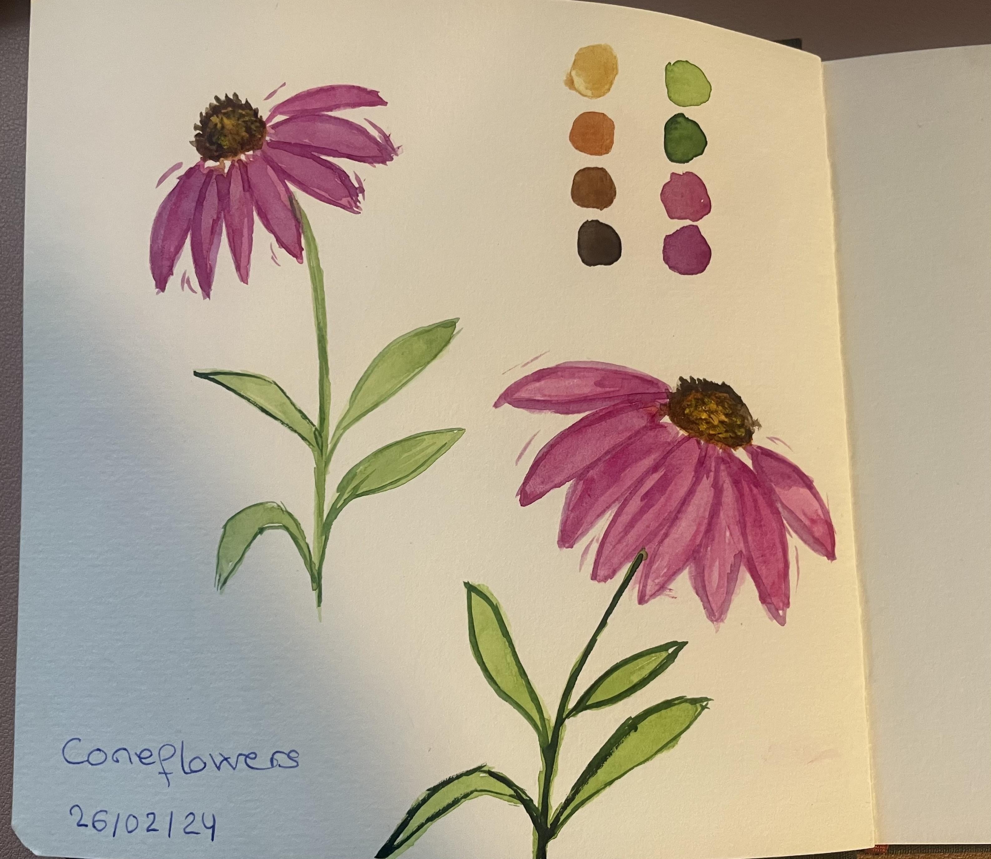 more-projects-from-class-img