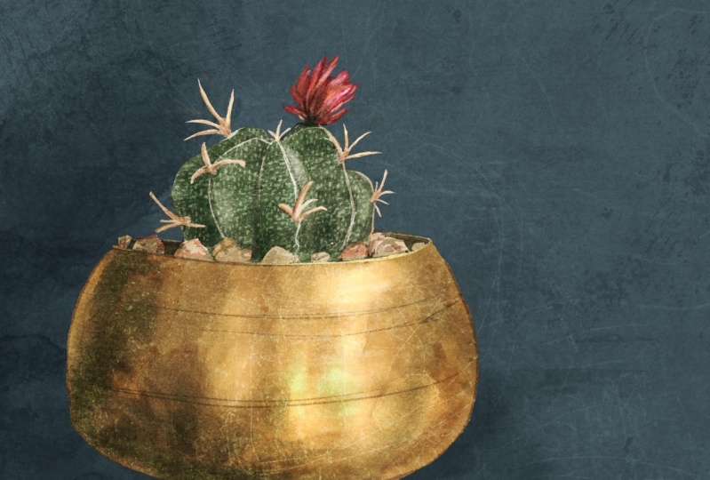 Textured Planter
