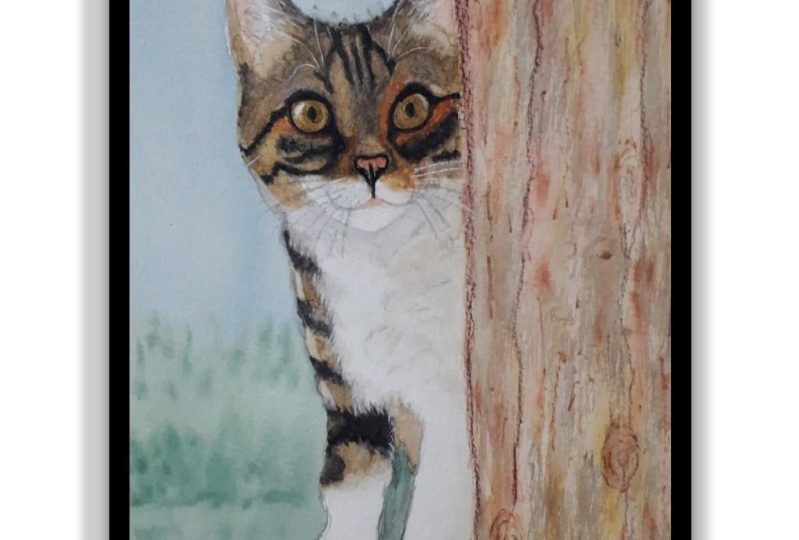 Carina Weiss's cat