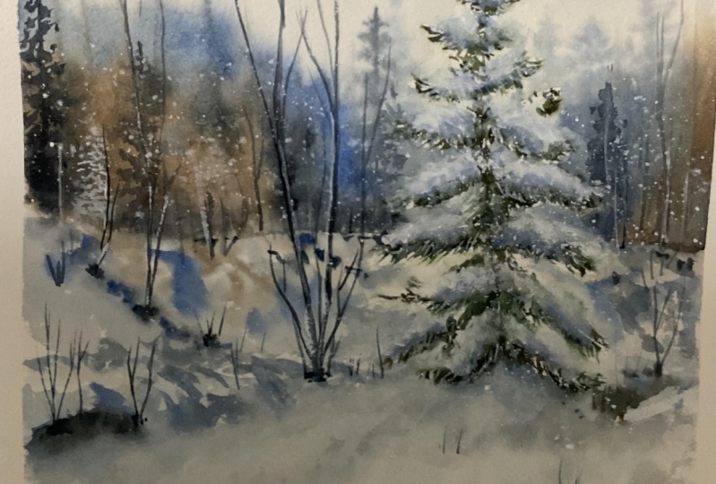 Snowy pine tree with Shanan