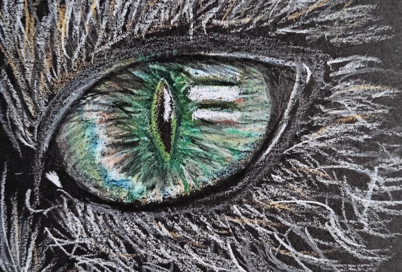 Cat's Eye Final Pic