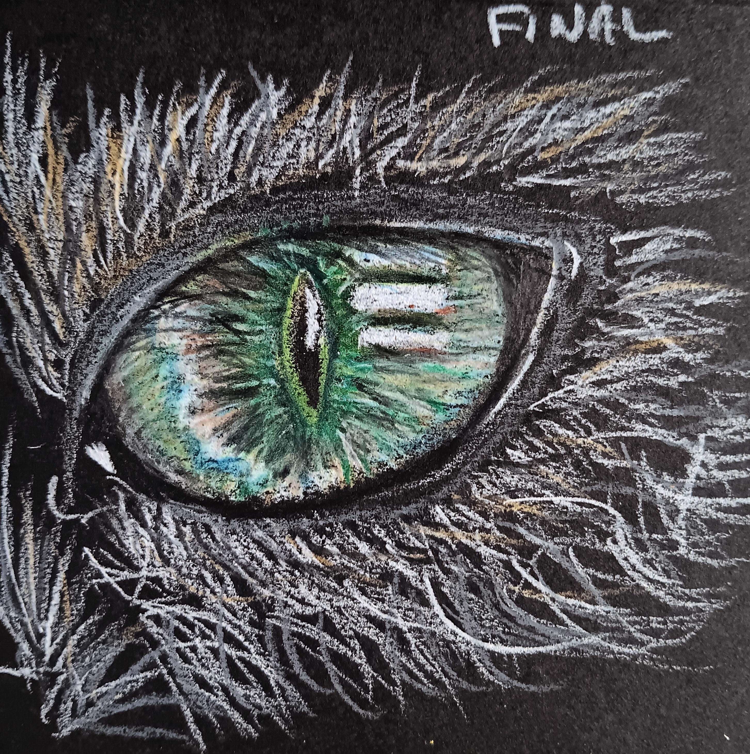 more-projects-from-class-img