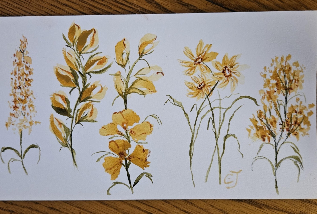 Wedge brush 5 florals - student project