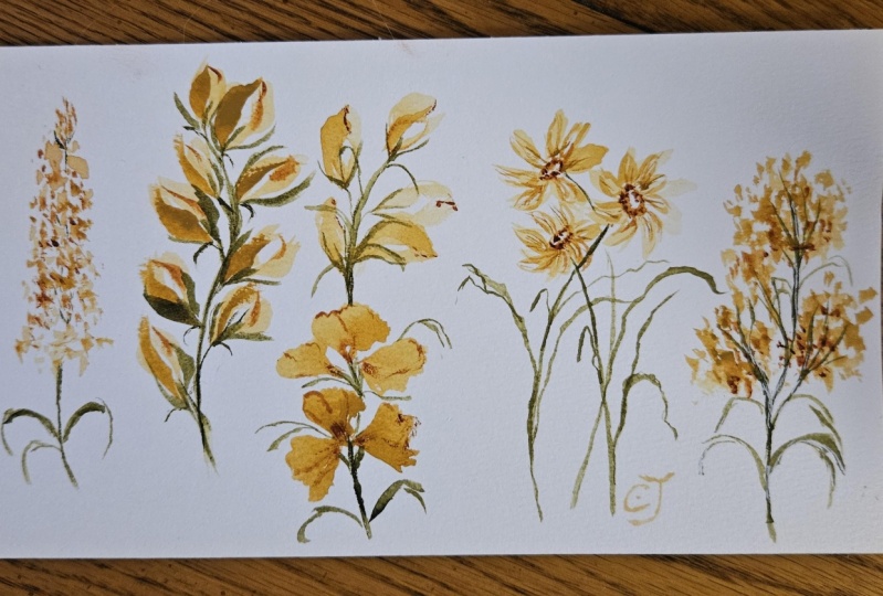 Wedge brush 5 florals