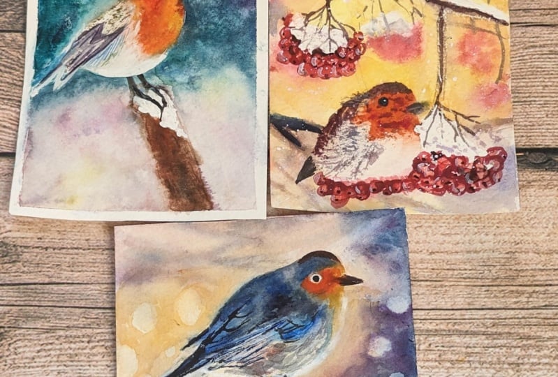 Mastering Watercolor Skills From Easy To Advanced, g3 Robin Birds Projects, The C