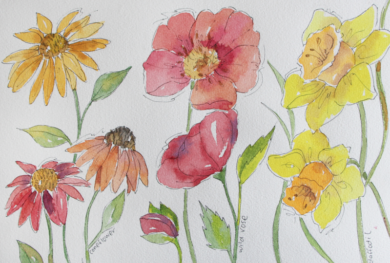 Line and Wash Flowers