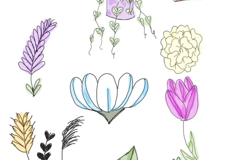 Plant doodles on Penup