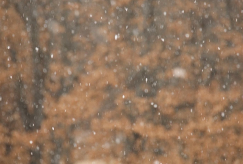 Falling Snow