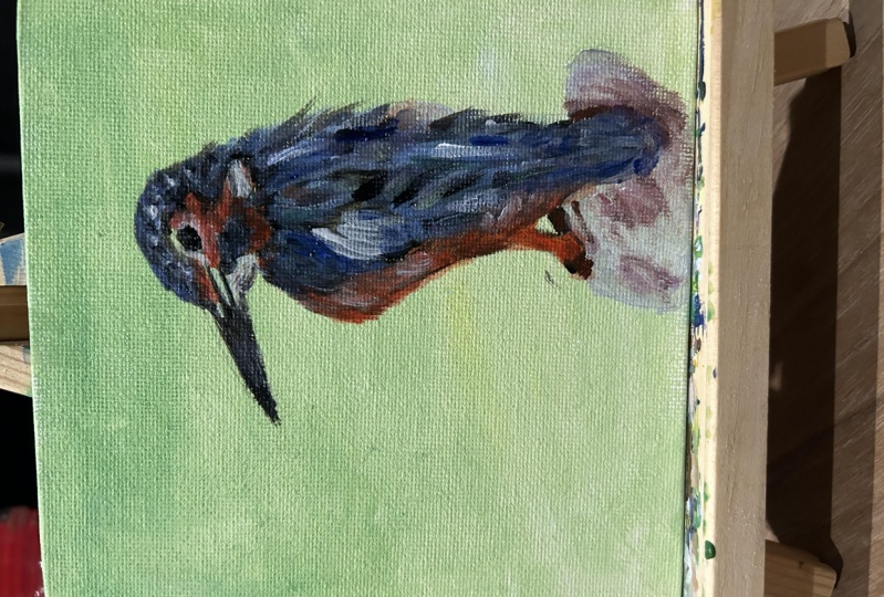 Bird