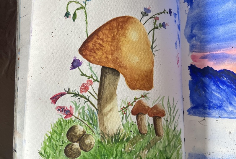 Mushroom Fun