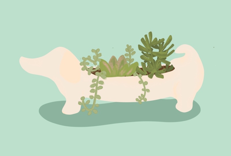 doxie planter on my desk