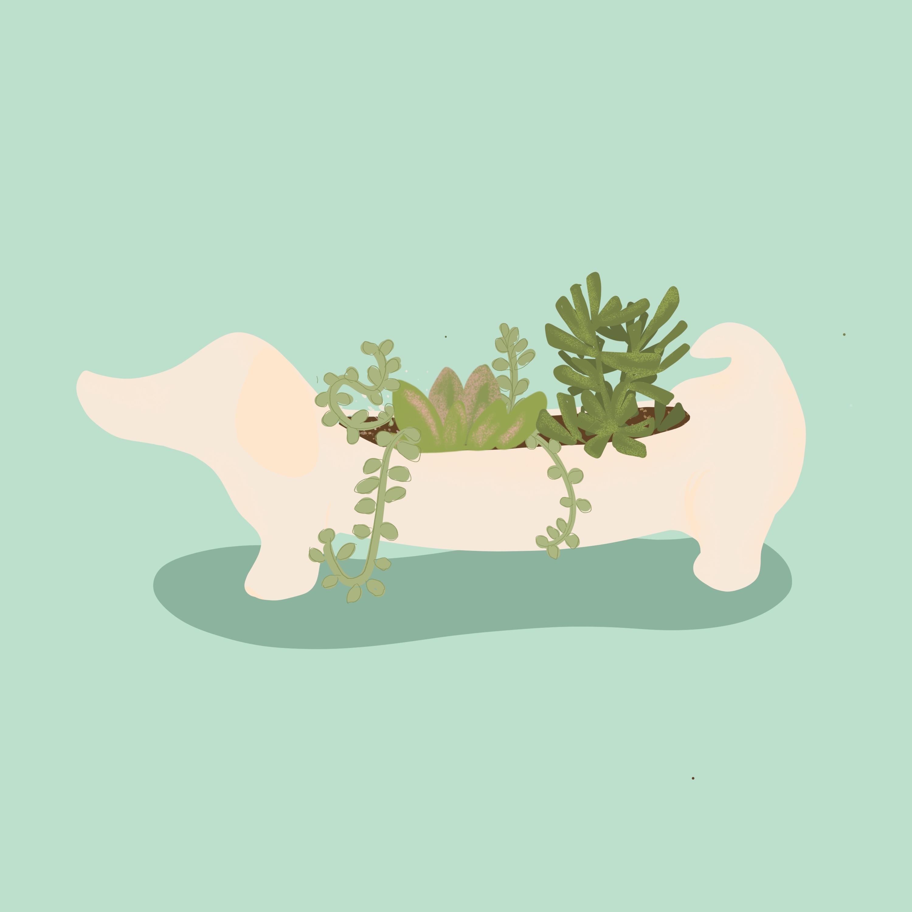 more-projects-from-class-img