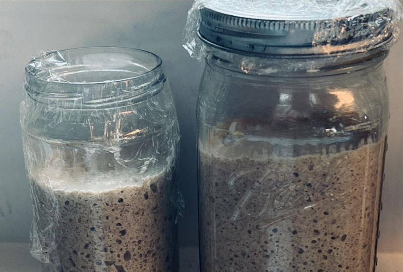 Sophia my sourdough starter