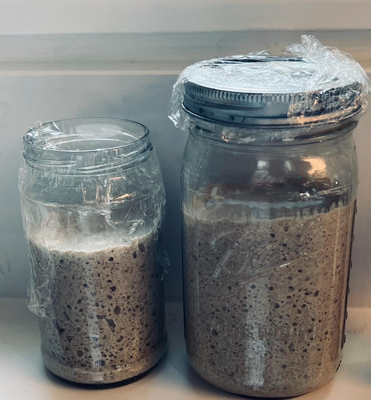 Sophia my sourdough starter - student project