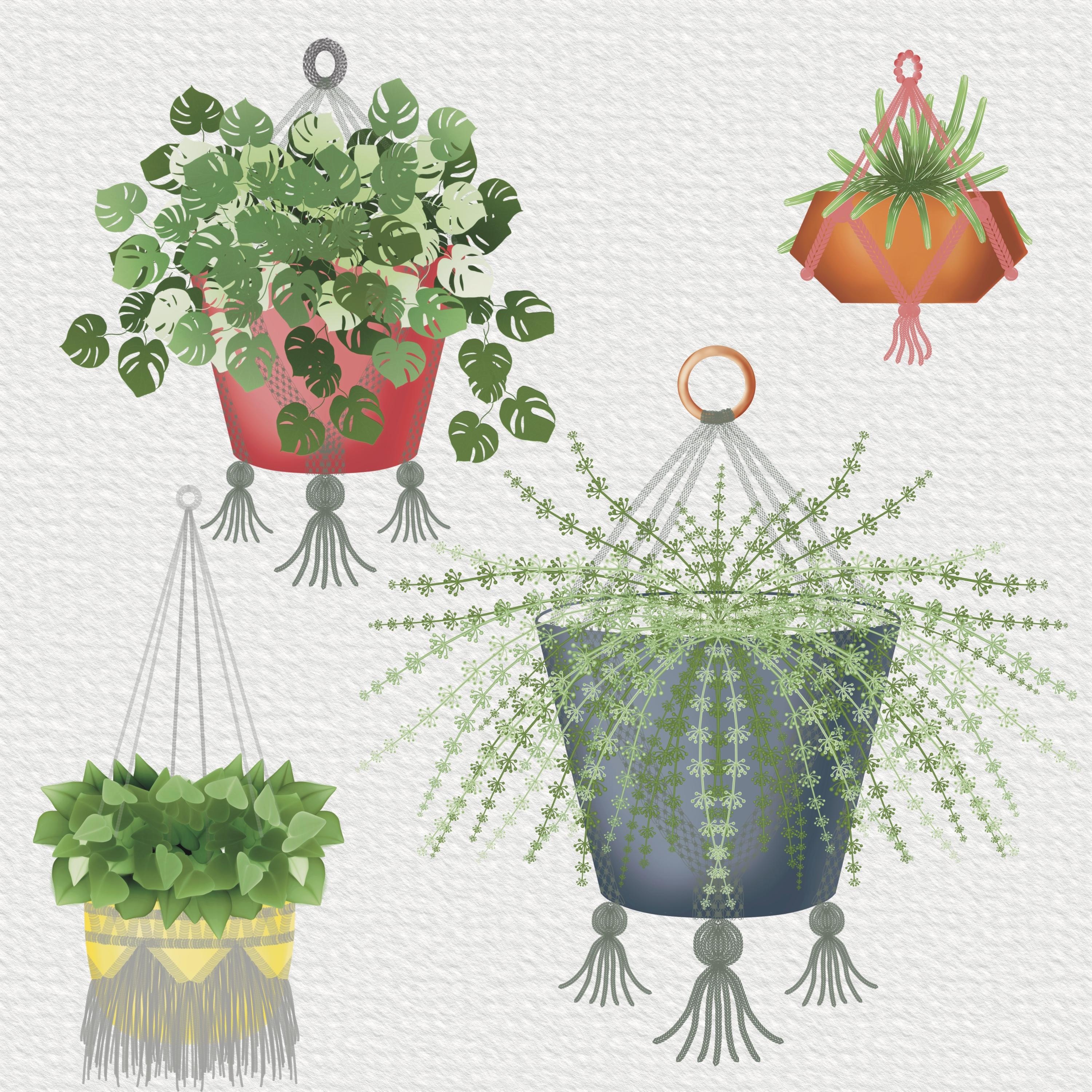 more-projects-from-class-img