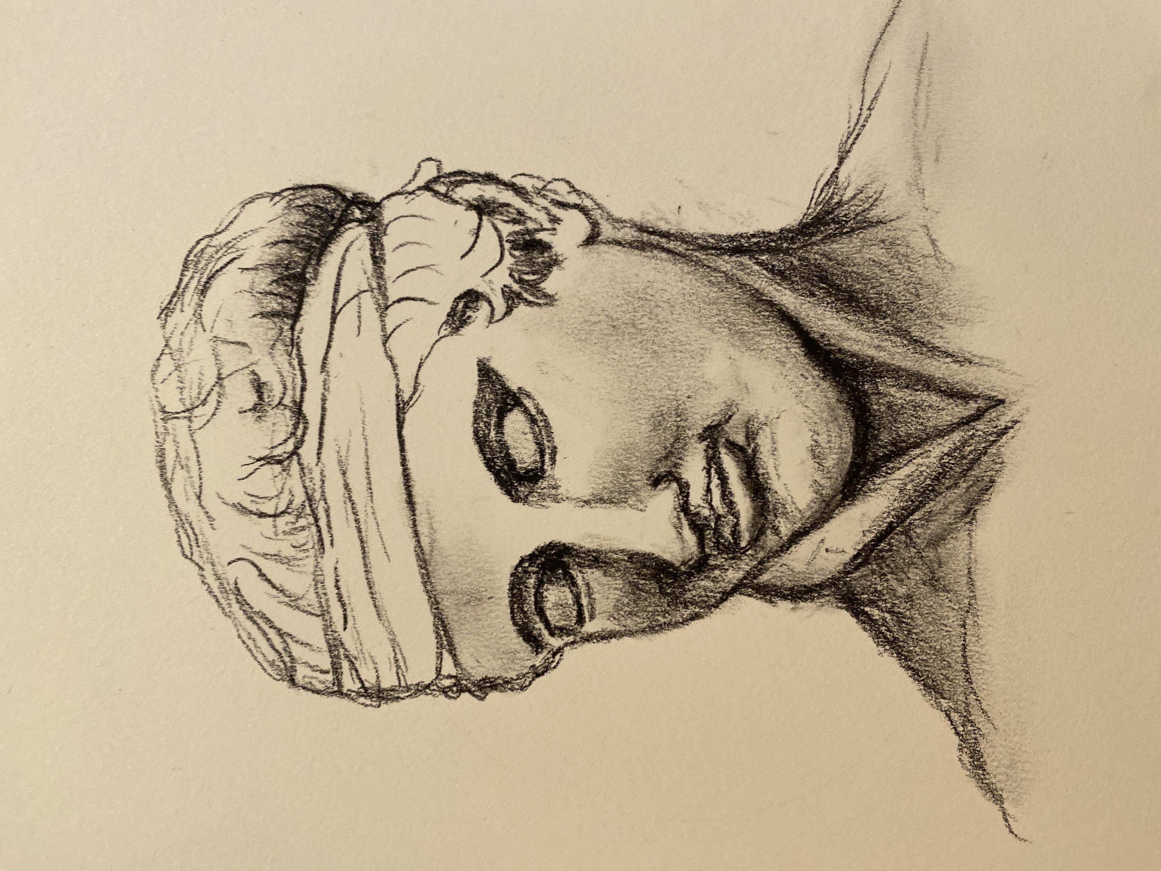 Features and proportions - student project