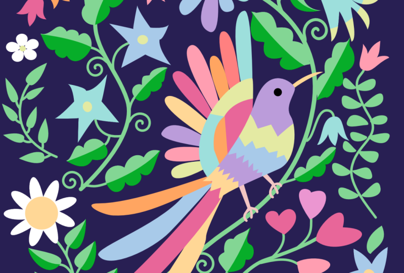 Otomi in vector