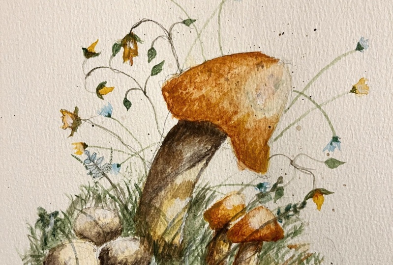 Mushroom Project